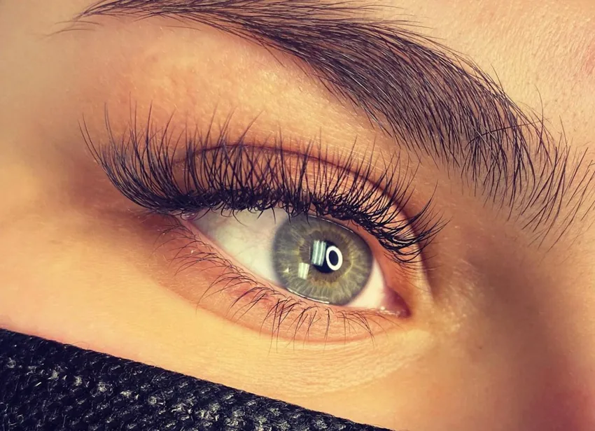 Eyelashes collection inspiration